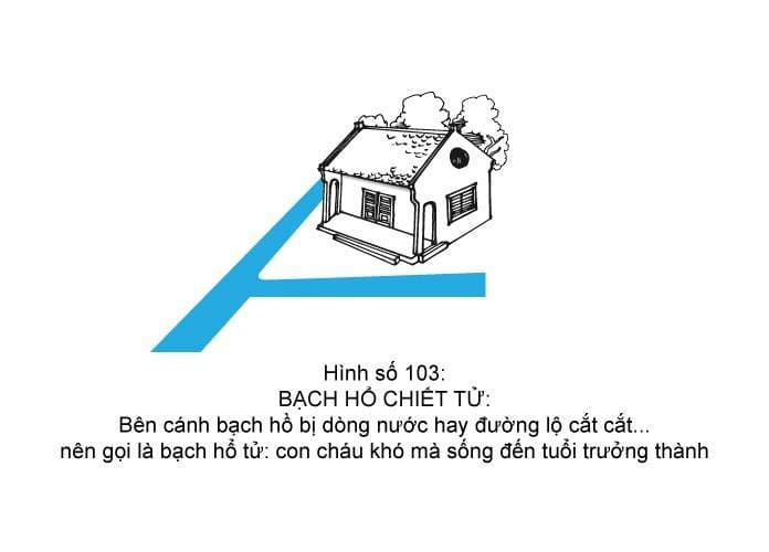 Hình minh họa thế sát số 103 — Bạch Hổ Chiết Tử