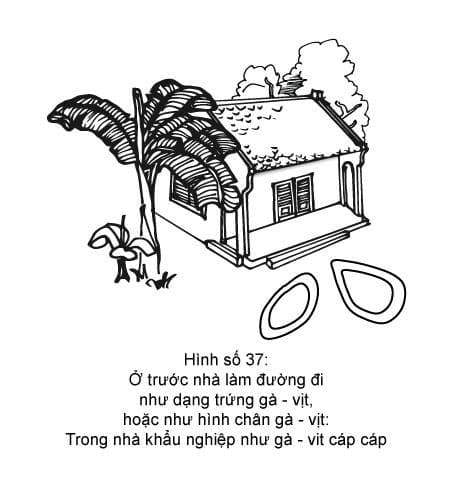 Hình minh họa thế sát số 37